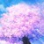 :iconlostgoldenrose: