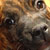 :iconlostinvast: