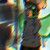 :iconlostjpizzad: