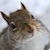 :iconlostnyetjoyful: