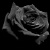 :iconlostpoetofbarnet:
