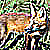 :iconlostredfox: