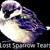 :iconlostsparrowtears: