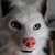 :iconlostwhitewolf: