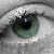 :iconlothtm01: