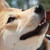 :iconlots-of-knots: