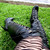:iconlotsoflittlethings: