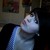 :iconlotta868:
