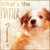 :iconlottescreativetimes: