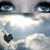 :iconlottex: