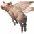 :iconlottie1411: