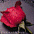 :iconlotto-extra: