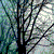:iconlotus-tile: