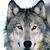 :iconlotusfox5892: