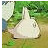 :iconlotuskunk:
