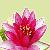 :iconlotuswhispers: