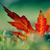 :iconlou6479: