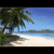 :iconloucards325: