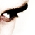 :iconlouis1795: