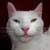 :iconloulouchat: