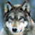 :iconloup-gris: