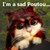 :iconlouzi31: