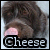 :iconlova-ikea-pianoleaf: