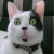 :iconlovable-elf: