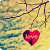 :iconlove-and-aesthetics:
