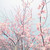 :iconlove-arts:
