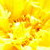 :iconlove-ashes: