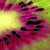 :iconlove-fruits: