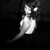 :iconlove-laught-live: