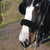 :iconlove-life-lollipops: