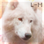 :iconlove-mailina: