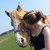 :iconlove-mizz-gorse: