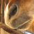 :iconlove-my-dun: