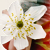 :iconlove-that-kid: