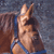 :iconlove-your-riding: