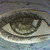 :iconlove2draw4ever: