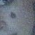 :iconloveablemoggy: