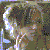 :iconloveandguns:
