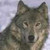 :iconloveartmusicwolves: