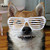 :iconlovebruise: