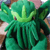 :iconlovecraftian: