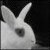 :iconlovedump: