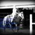 :iconlovegypsyhorse: