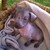 :iconlovehairless: