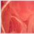:iconlovehaunt: