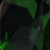 :iconloveinoctober:
